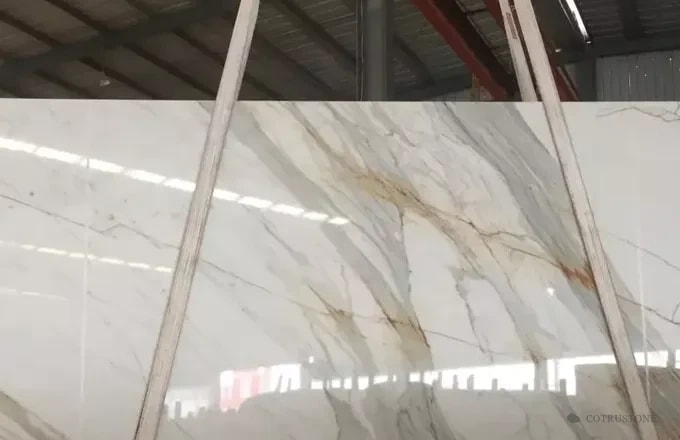Calacatta Marina Marble — white ground with grey and warm veins
