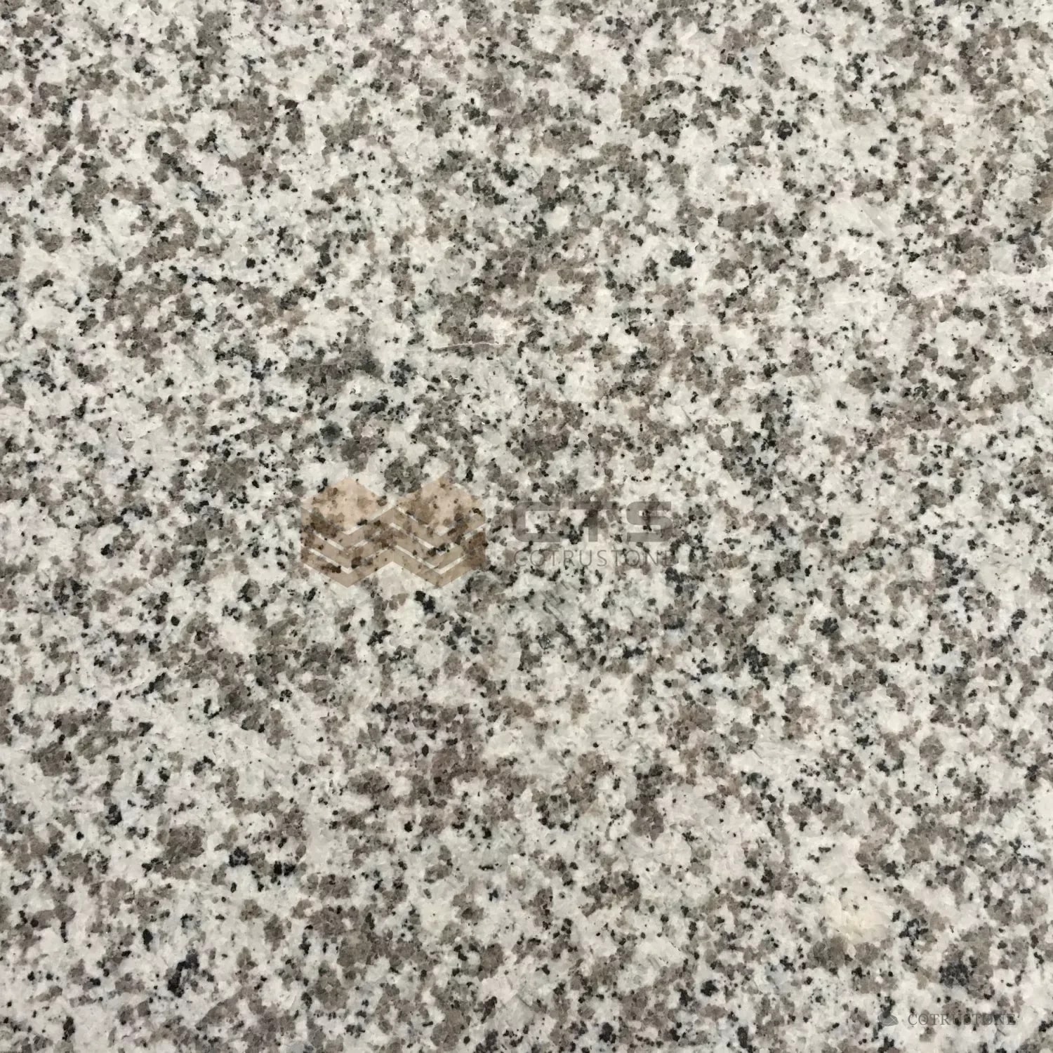 G439-GL Granite Tiles — light granular pattern