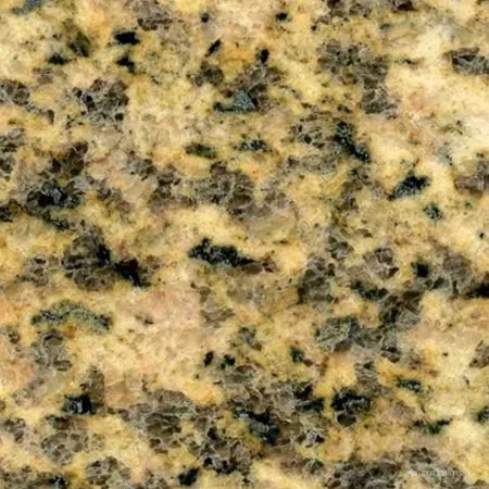 Tiger Skin Yellow granite close-up with black, grey and warm granular movement