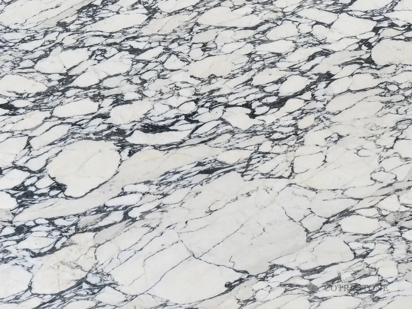 Arabescato Vagli natural marble surface reference