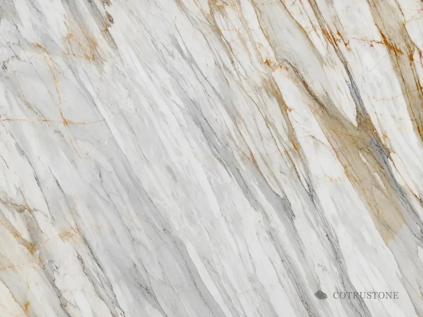 Calacatta Gold natural marble surface reference