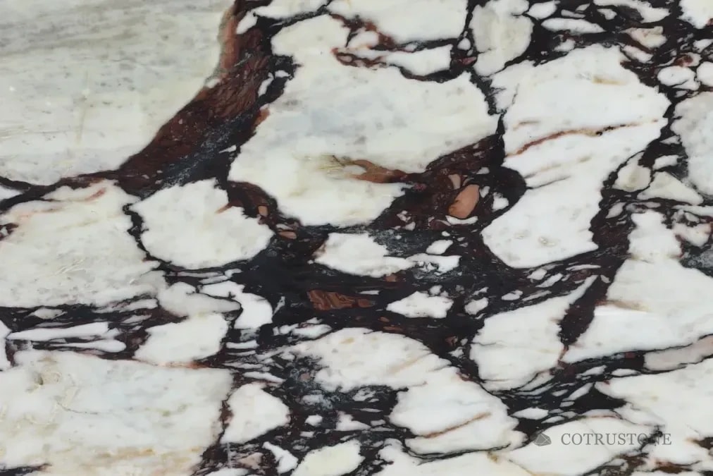 Calacatta Viola · mármol en marfil y borgoña