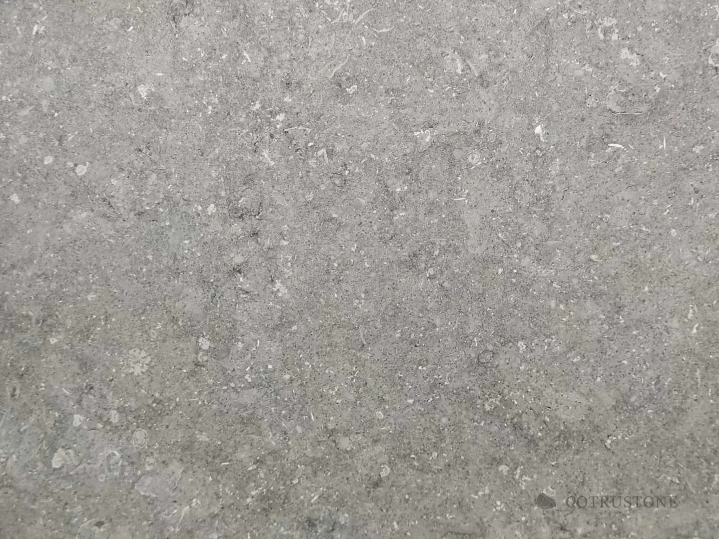 Grey Moca limestone natural surface reference