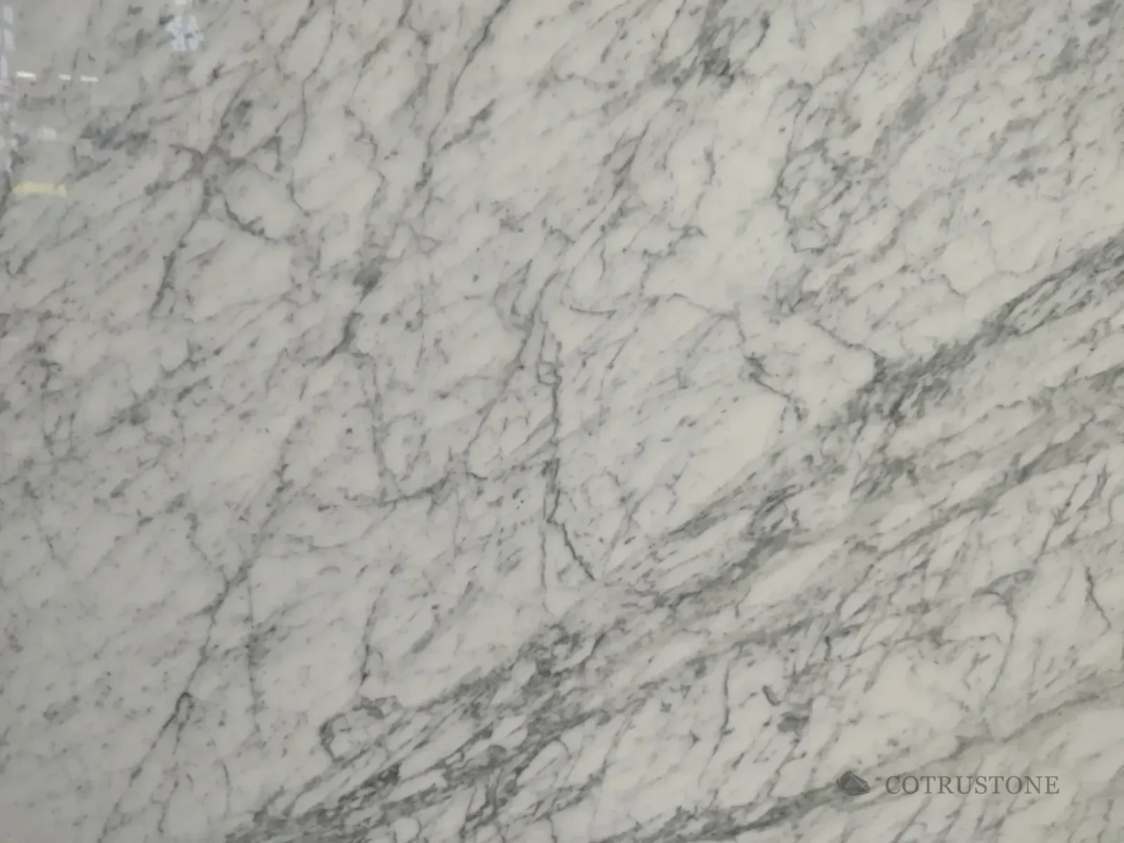 Carrara White Marble with fine grey veining across a white surface