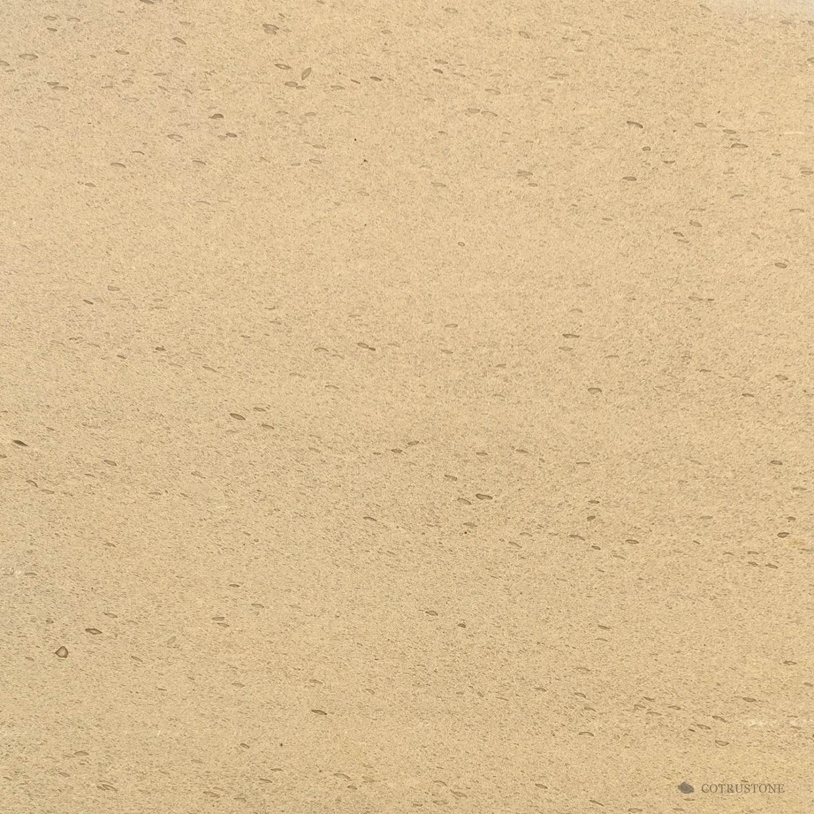 Close view of a Moca Cream limestone slab: an even cream ground with small darker flecks