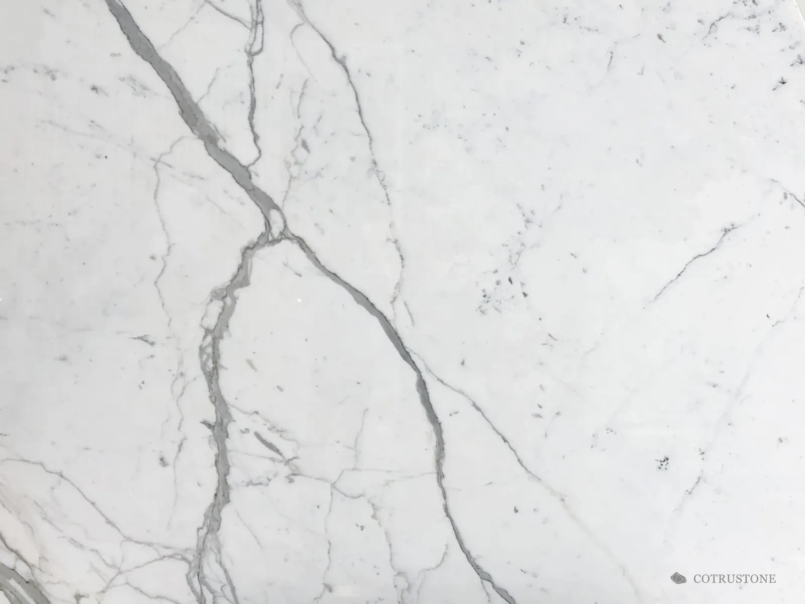 Close-up of Calacatta marble: bold grey veins branching across a white ground