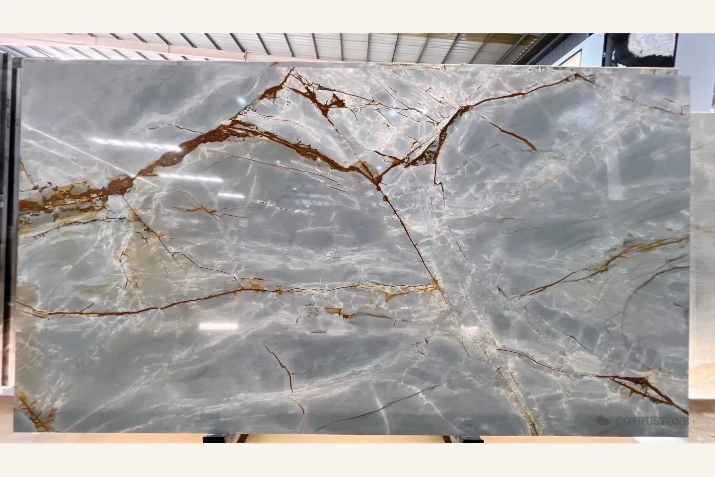 Full grey-blue stone slab with branching gold-brown veining photographed in a slab showroom