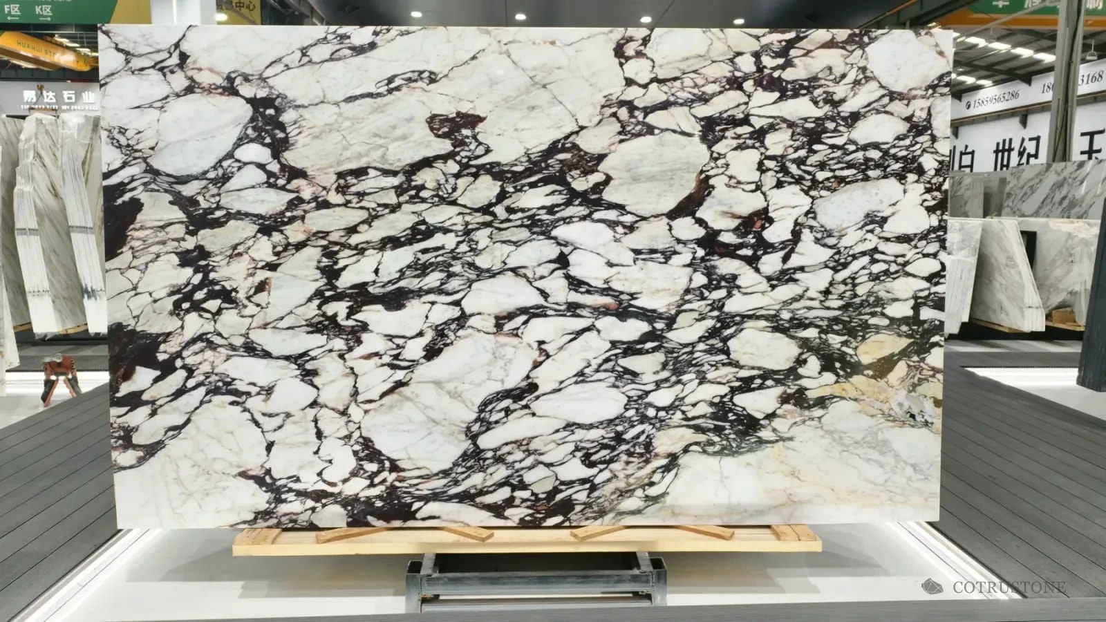 Complete Calacatta Viola slab showing the overall ivory and burgundy pattern