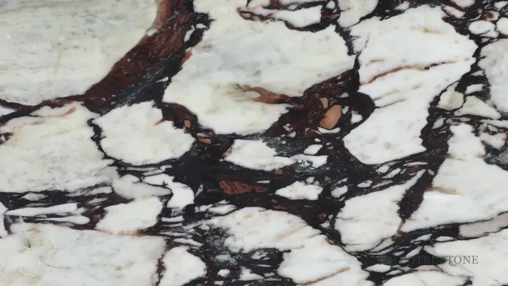 Fragmentos marfil y vetas borgoña en mármol natural Calacatta Viola