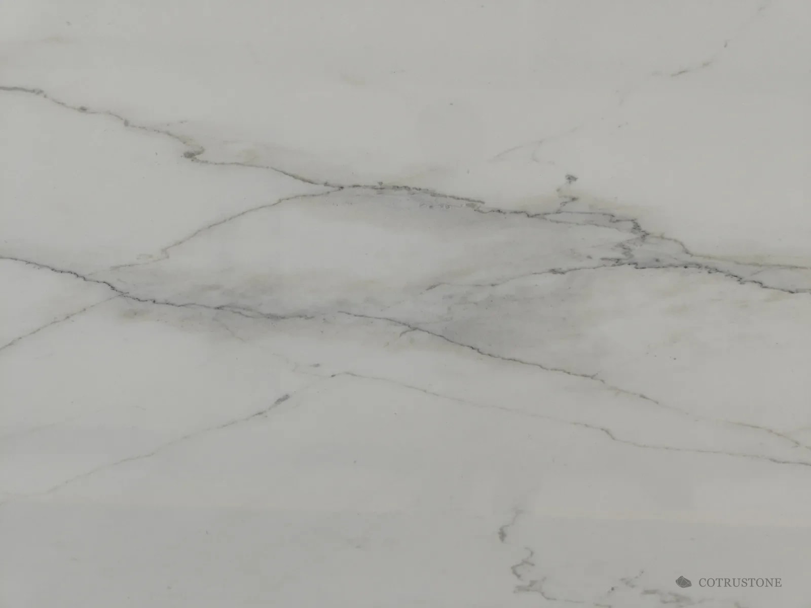 Close view of Lincoln White marble with fine grey veins