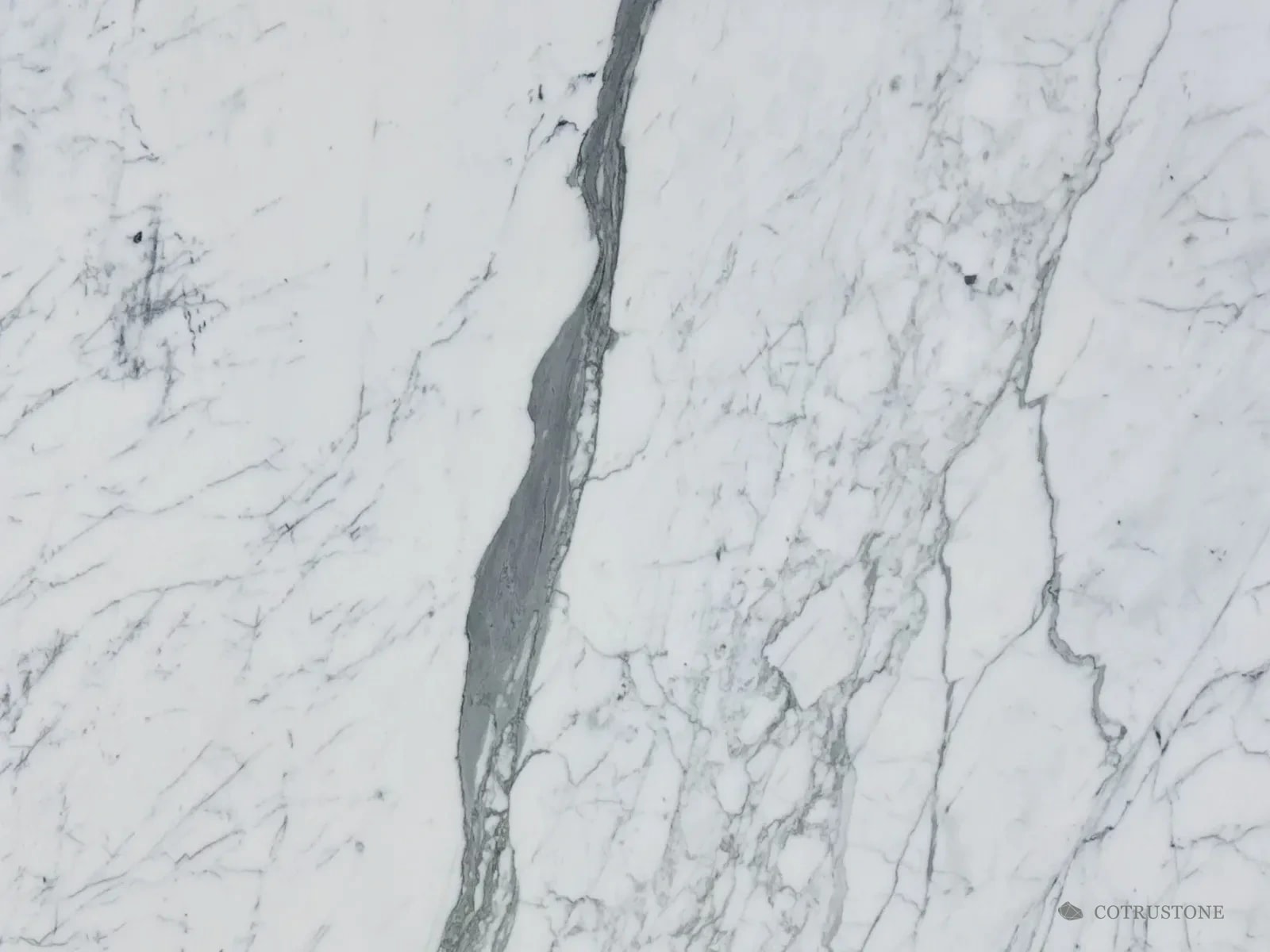 Close-up of Statuario marble: a bright white ground cut by a broad grey vein